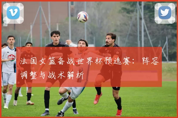 法国女篮备战世界杯预选赛：阵容调整与战术解析